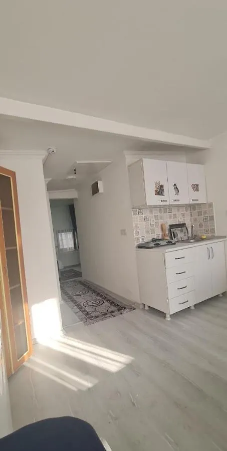 Volter Group Misir Bugdayi Taksim Daire İstanbul